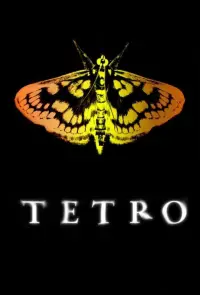 Poster to the movie "Tetro" #724158
