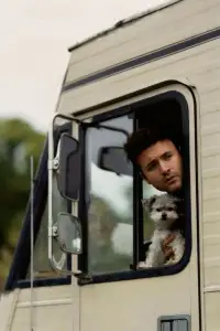 Poster to the movie "Dogs on the Sendero" #1025594