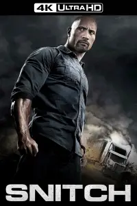 Poster to the movie "Snitch" #954598