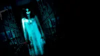Backdrop to the movie "Paranormal Asylum: The Revenge of Typhoid Mary" #728221
