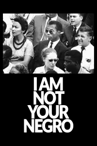 Poster to the movie "I Am Not Your Negro" #1107639