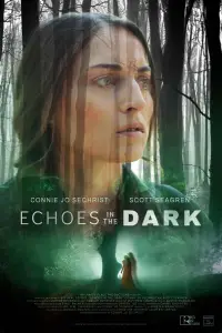 Poster to the movie "Echoes in the Dark" #729955