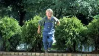 Backdrop to the movie "Dennis the Menace" #662437