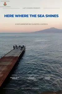 Poster to the movie "Qui dove il mare luccica" #691485