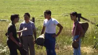 Backdrop to the movie "Stand by Me" #503523