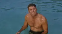 Backdrop to the movie "The Swimmer" #782225