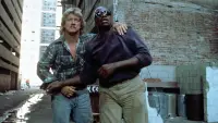 Backdrop to the movie "They Live" #226565