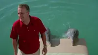 Backdrop to the movie "The Day of the Dolphin" #825423