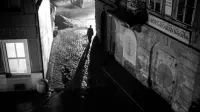 Backdrop to the movie "The Third Man" #834847