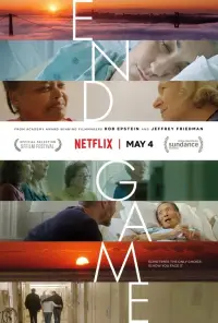 Poster to the movie "End Game" #1100772