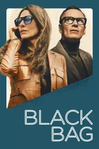 Poster to the movie "Black Bag" #904003