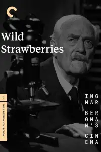 Poster to the movie "Wild Strawberries" #979359