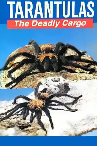Poster to the movie "Tarantulas: The Deadly Cargo" #988249