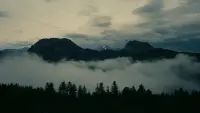Backdrop to the movie "Oppenheimer" #816273