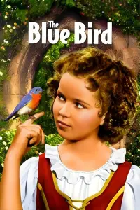 Poster to the movie "The Blue Bird" #990157