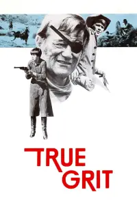Poster to the movie "True Grit" #711407