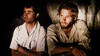 Backdrop to the movie "Cinema, Aspirins and Vultures" #876205