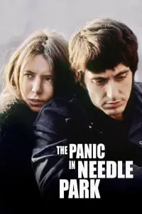 Poster to the movie "The Panic in Needle Park" #1173381