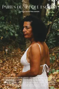 Poster to the movie "Partes de Mim que Esqueci" #1146928