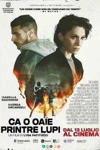 Poster to the movie "Like Sheep Among Wolves" #756373