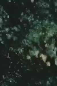 Poster to the movie "Song 14" #1043189