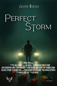 Poster to the movie "Perfect Storm" #753135