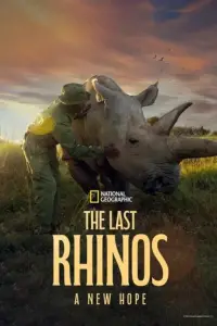 Poster to the movie "The Last Rhinos: A New Hope" #870645