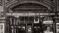 Backdrop to the movie "The Old Nest" #1232088