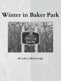 Poster to the movie "Winter in Baker Park" #657323