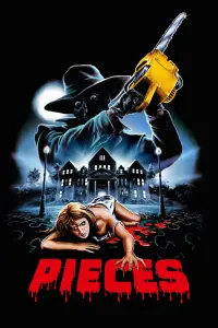 Poster to the movie "Pieces" #1146070