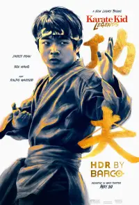 Poster to the movie "Untitled Karate Kid Movie" #901371
