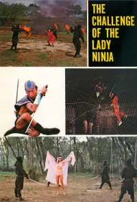 Poster to the movie "The Challenge of the Lady Ninja" #1050043