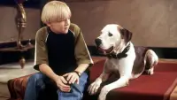 Backdrop to the movie "The Pooch and the Pauper" #877788