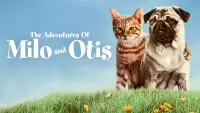 Backdrop to the movie "The Adventures of Milo and Otis" #1043930