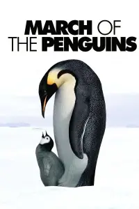 Poster to the movie "March of the Penguins" #965996