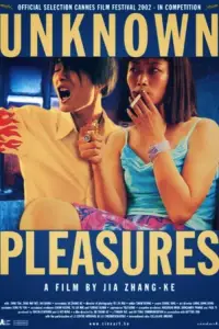 Poster to the movie "Unknown Pleasures" #1176053