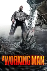 Poster to the movie "Levon