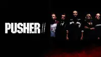 Backdrop to the movie "Pusher II" #980987