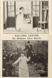 Poster to the movie "Falling Leaves" #1024117