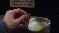 Backdrop to the movie "While You Were Sleeping" #692985
