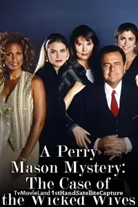 Poster to the movie "Perry Mason: The Case of the Wicked Wives" #1127824
