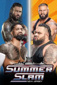 Poster to the movie "WWE SummerSlam 2025: Saturday" #816565