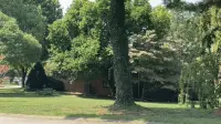 Backdrop to the movie "mailboxes" #569880