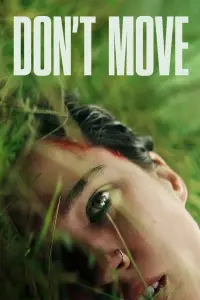 Poster to the movie "Don