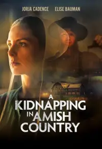 Poster to the movie "A Kidnapping in Amish Country" #735700