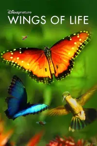Poster to the movie "Wings of Life" #955258