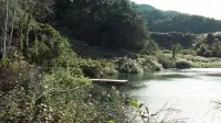 Backdrop to the movie "A Tale of Two Sisters" #712814