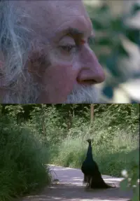 Poster to the movie "Eniaios" #1096244