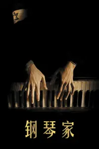 Poster to the movie "The Pianist" #765382