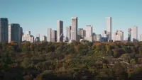 Backdrop to the movie "Urban Forests" #718539
